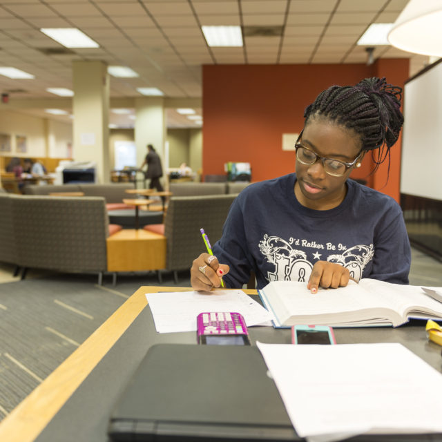 image of student studying