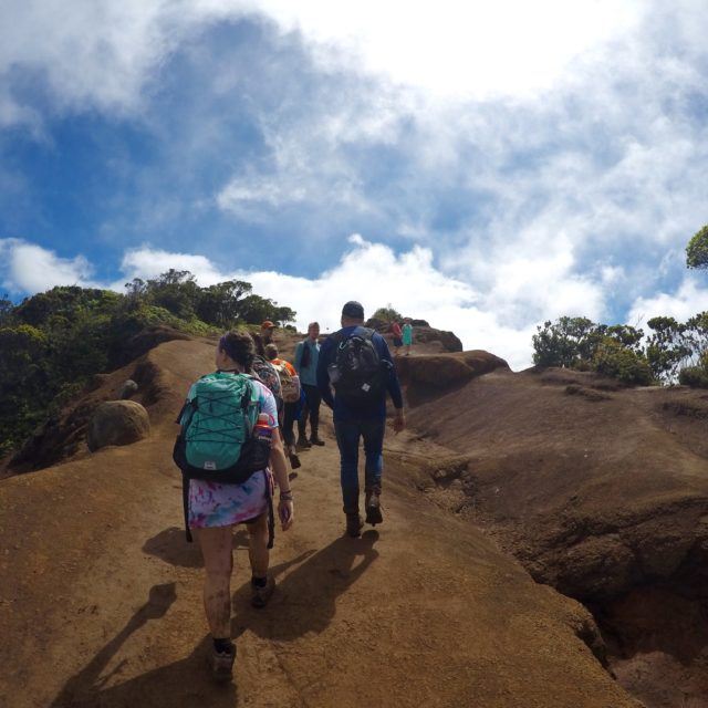 campbell study abroad