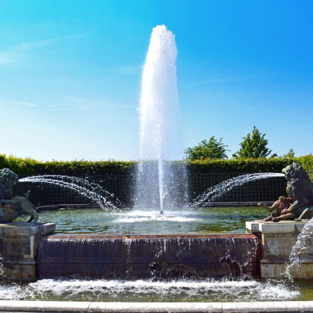 psychology study abroad