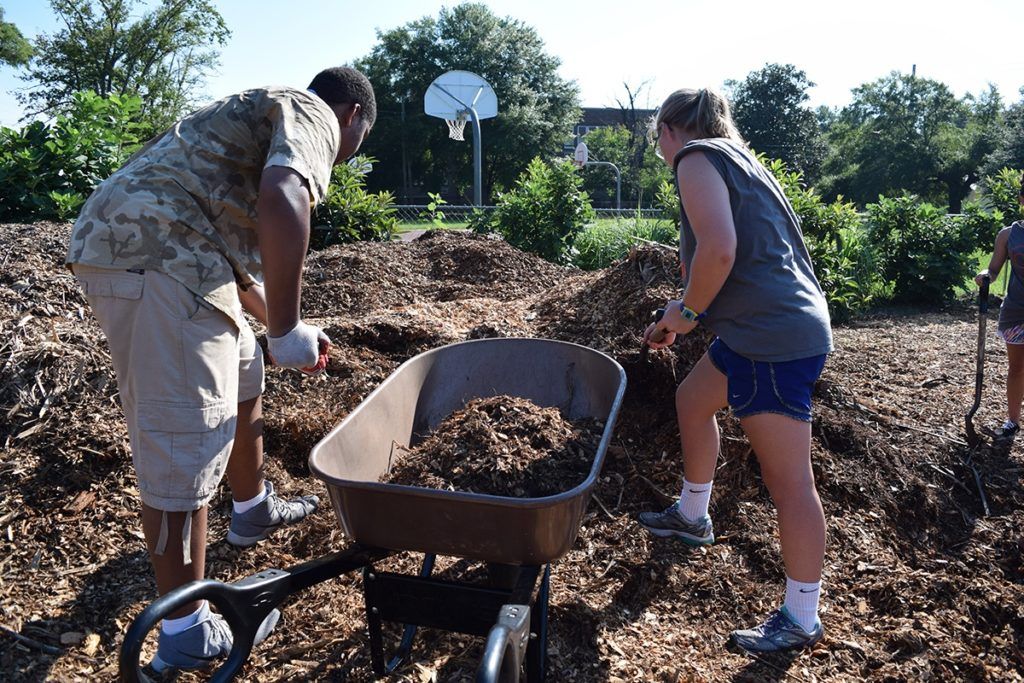 Individuals participate in service projects