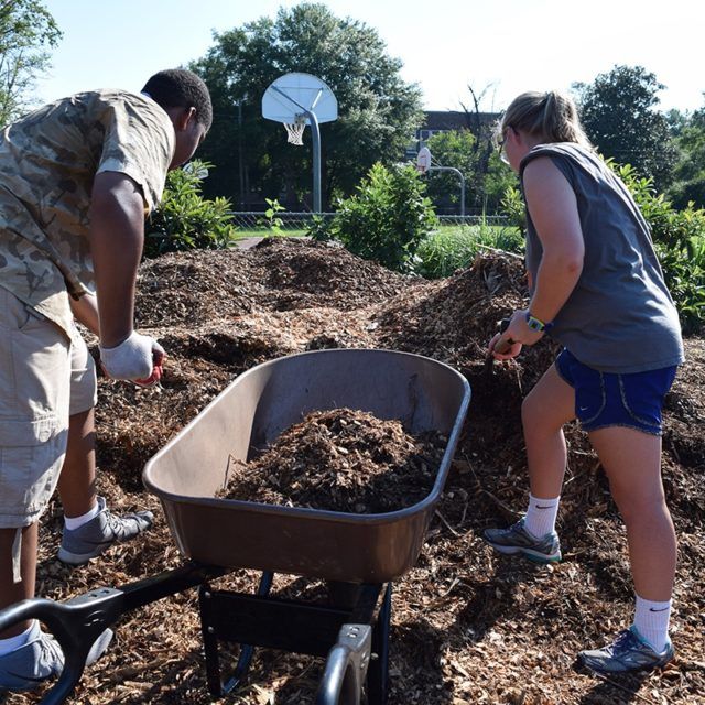 Individuals participate in service projects