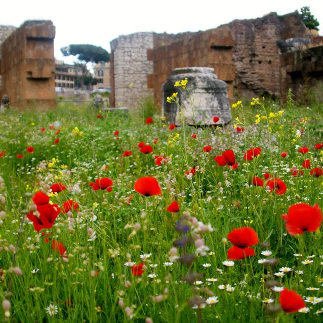 Italy & Germany study abroad trip