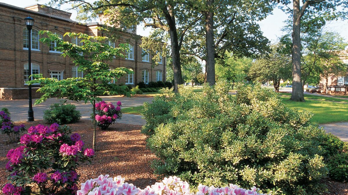 image of campus in the spring