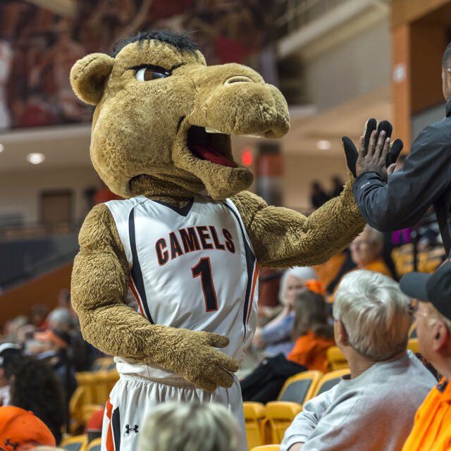 image of basketball Gaylord camel mascot