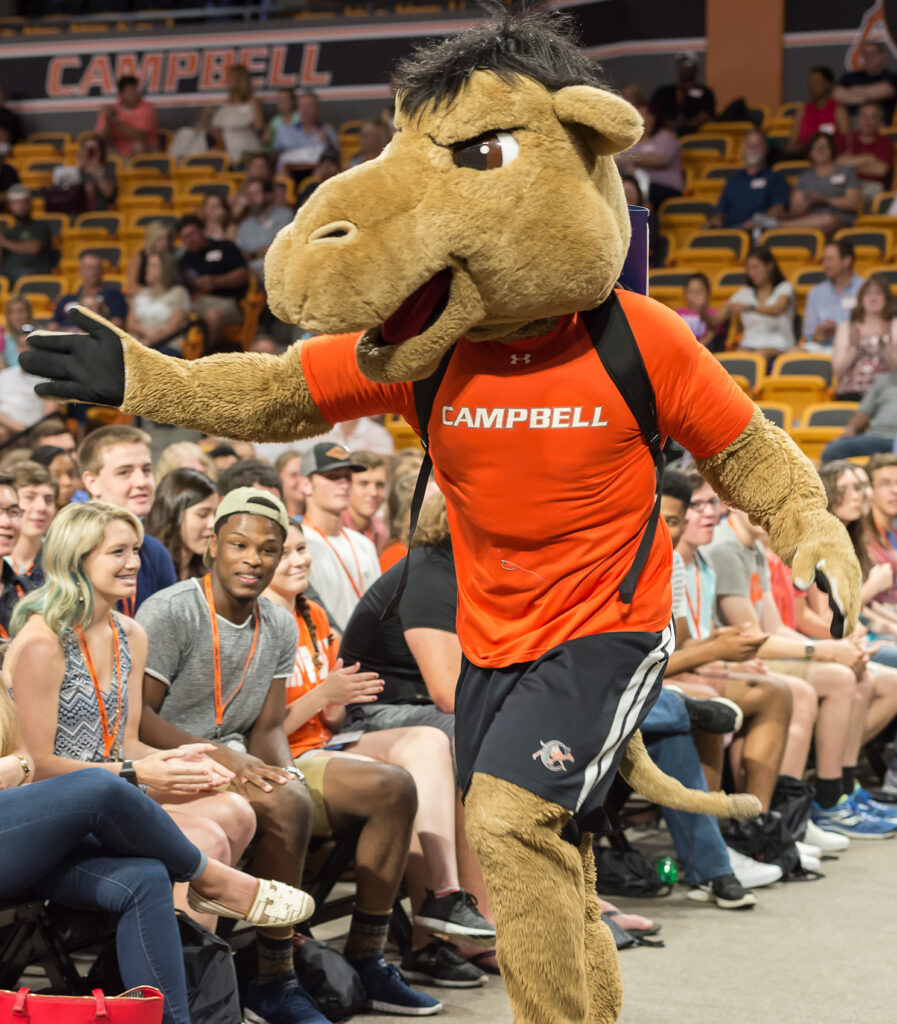 Our Camel Mascot Traditions Campbell University