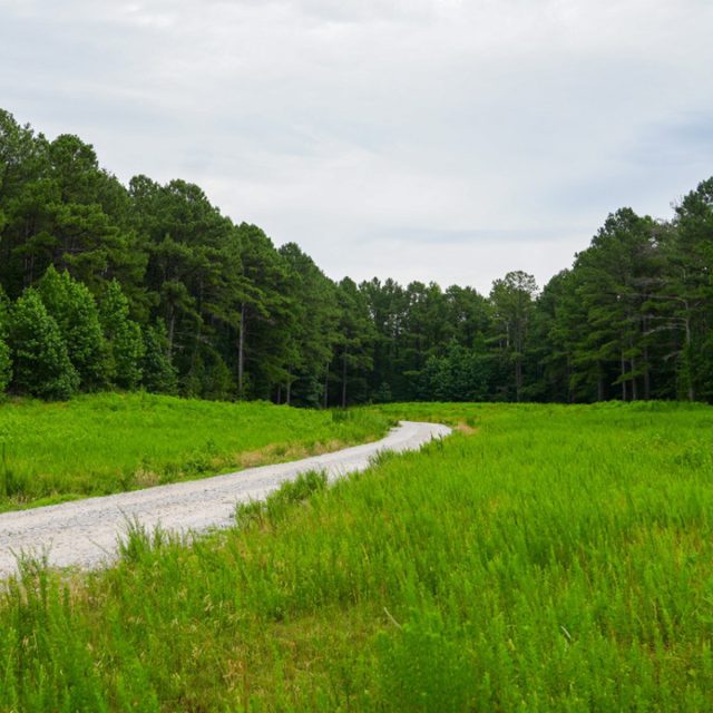 River Park