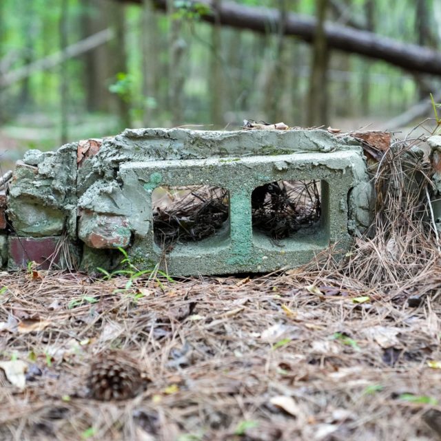 Remnants of a homestead at River Park