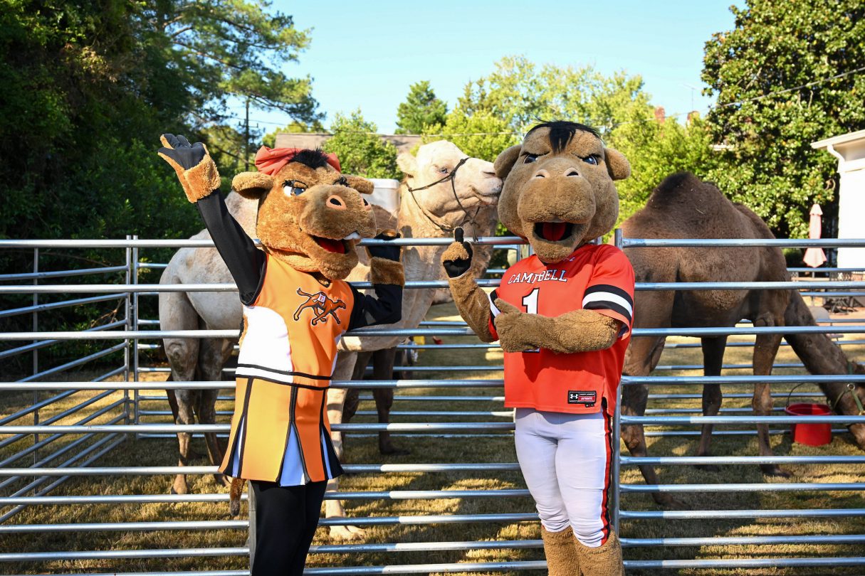 Homecoming Parade photo featuring the Campbell Camel Mascots