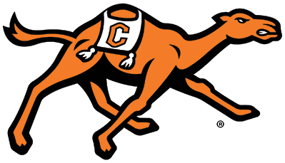 New Running Camel for web