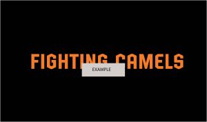 Fighting Camels Example