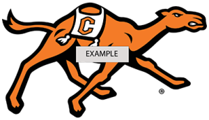 Running Camel Example