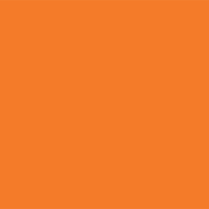 Swatch of new Campbell Orange 165 C