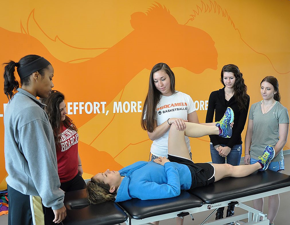 Doctor of Physical Therapy Program Receives Accreditation News
