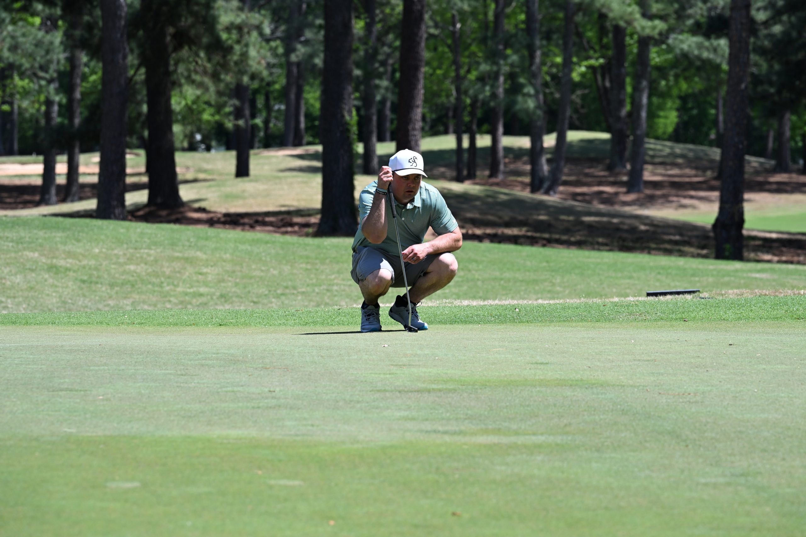 Male golfer squats down to line up a putt
