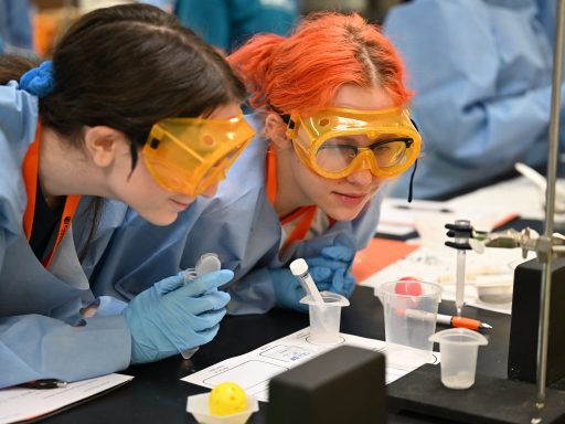 Two students collaborate on a laboratory investigation while recording observations and completing experiment worksheets.