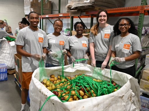 Group of students around a large bin of potatoes.