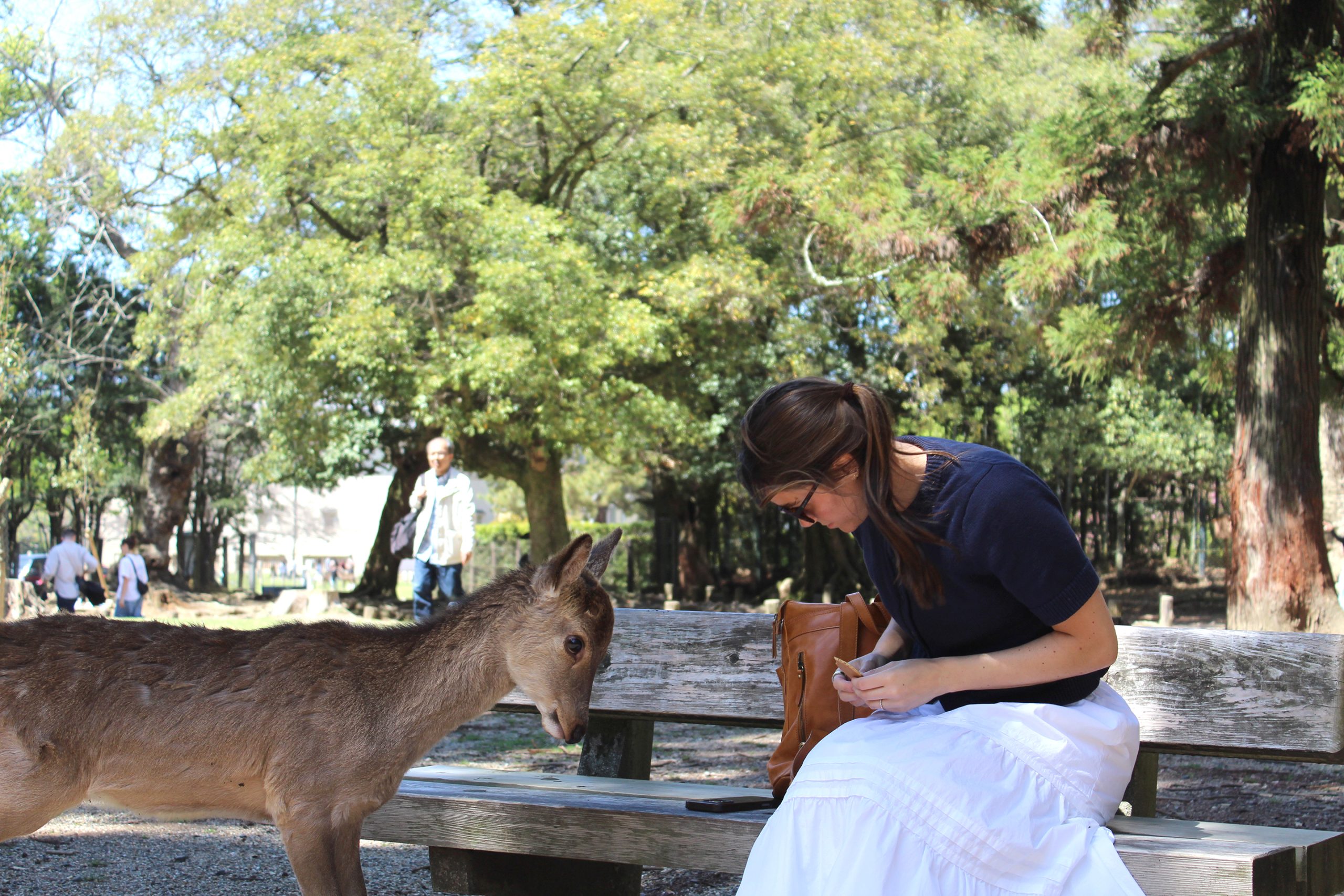 Lexie Weidner feeds a deer in the park.