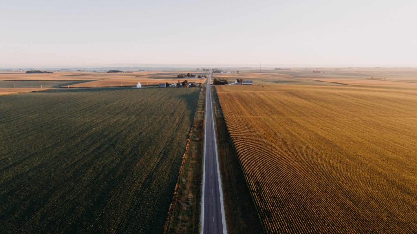 Fields 5