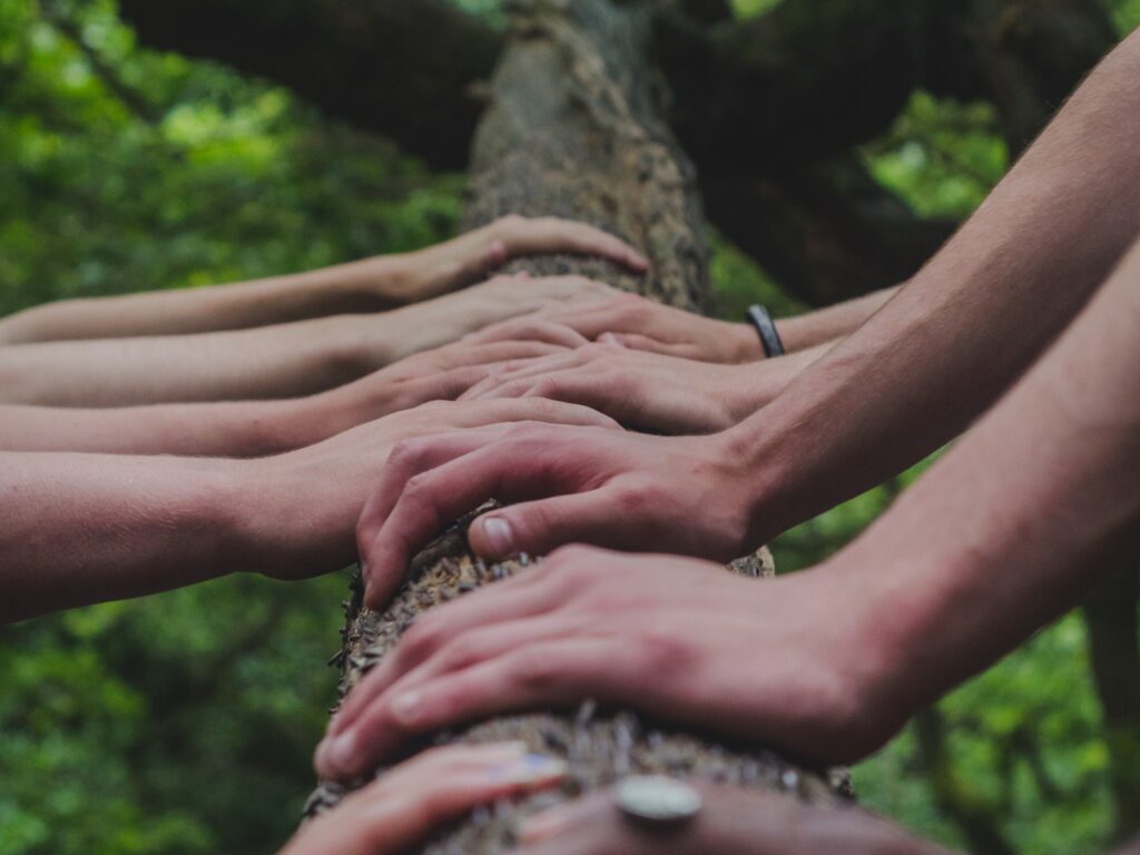 Hands on a tree trunk