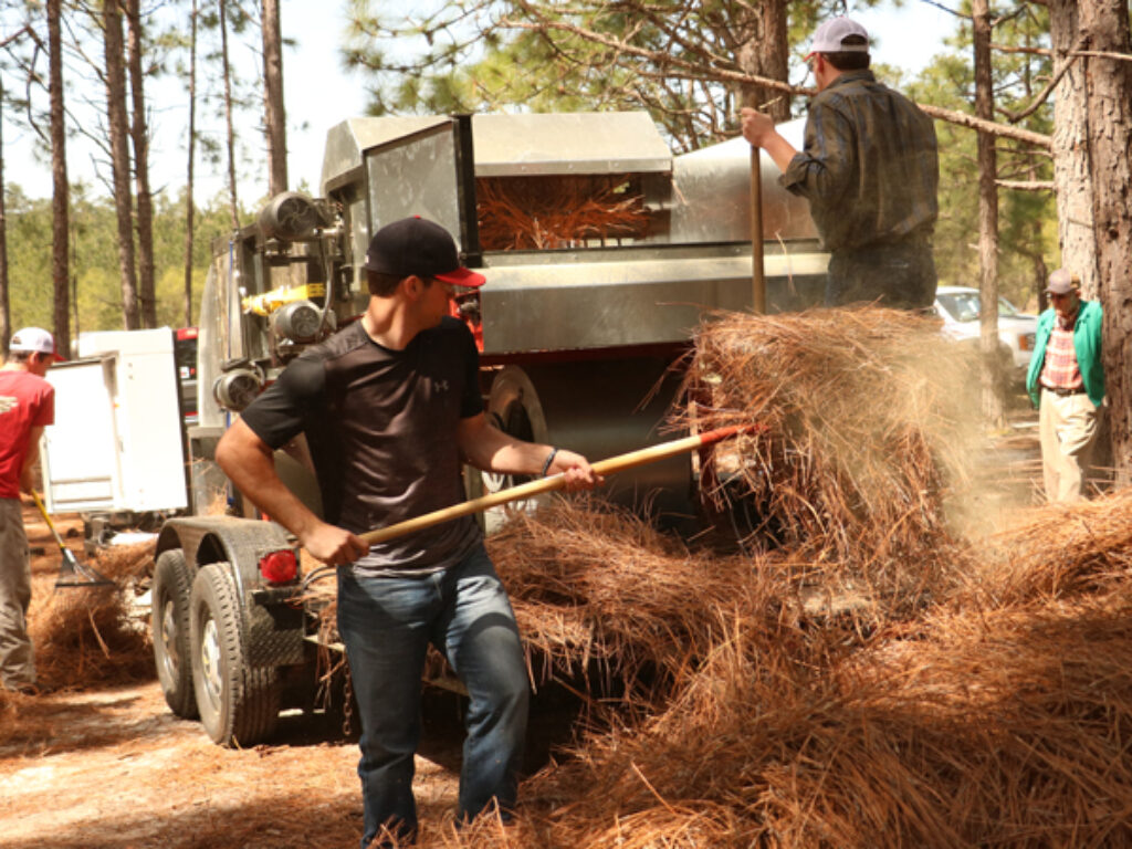 Photo of founders using Pine Bine